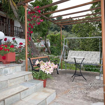 Appartments Zoe Agios Ioannis  Exterior photo