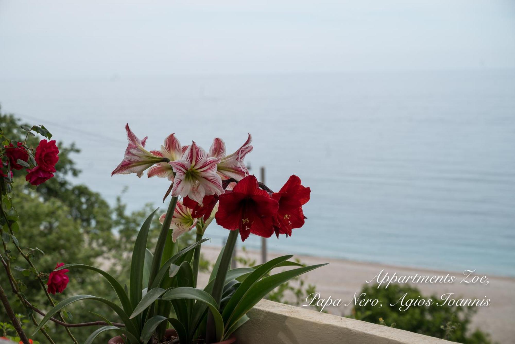 Appartments Zoe Agios Ioannis  Exterior photo